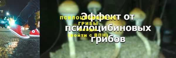экстази Краснослободск