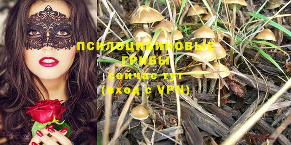 стафф Красноперекопск