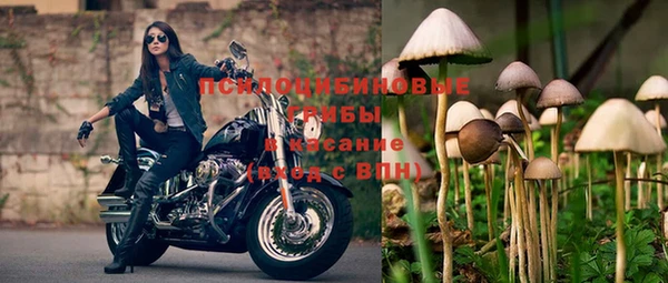 эйфоретик Краснотурьинск