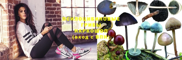 экстази Краснослободск