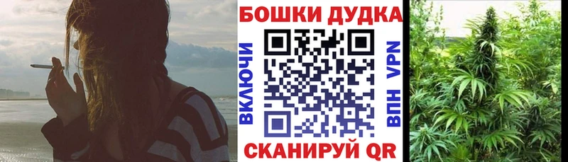 наркота  Тотьма  гидра зеркало  Каннабис сатива 